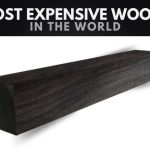 The Most Expensive Woods in the World