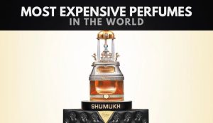 The 10 Most Expensive Perfumes in the World (2024)