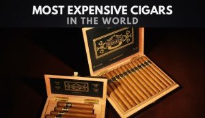 The 25 Most Expensive Cigars in the World (2024)