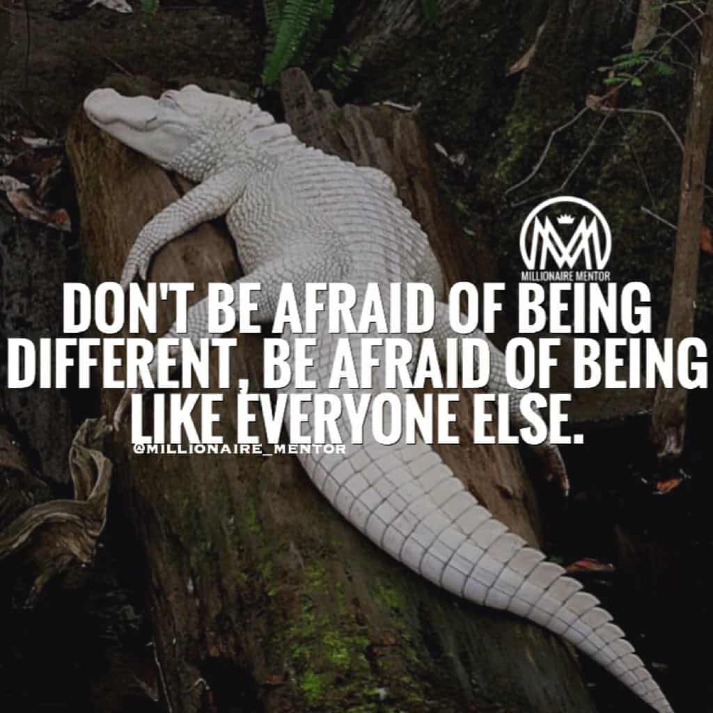 “Don’t be afraid of being different, be afraid of being like everyone else.” - quote