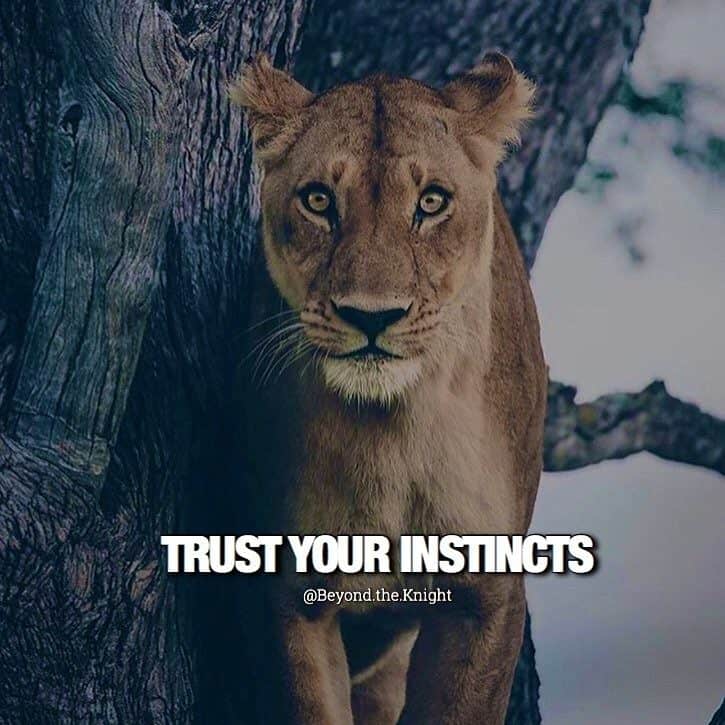 “Trust your instincts.” - quote