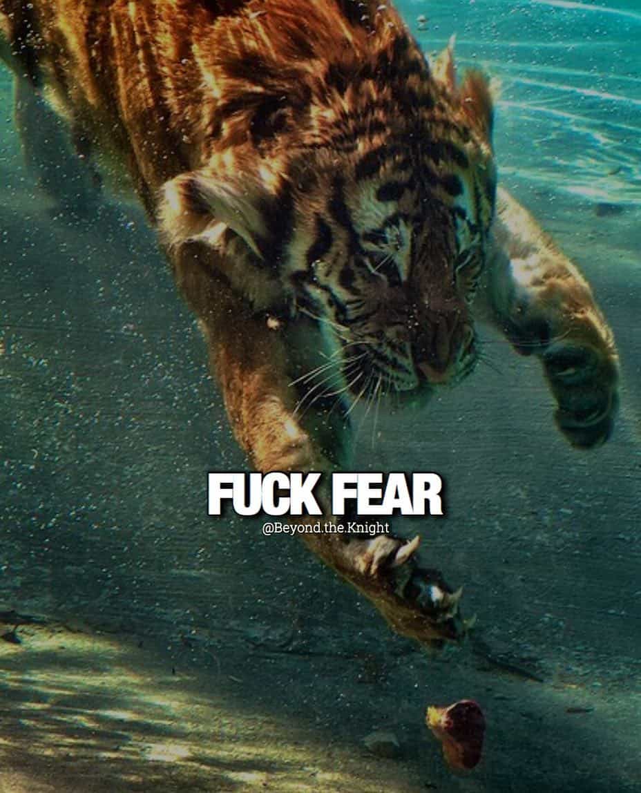 “F*** fear.” - quote