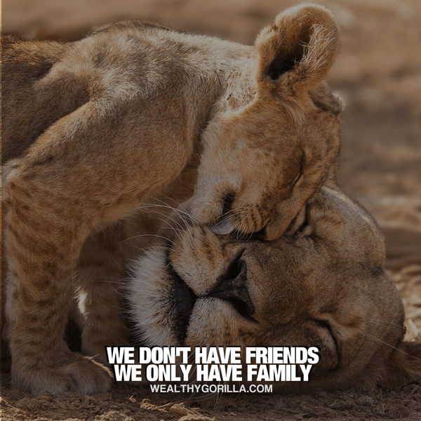 “We don’t have friends. We only have family.” - quote