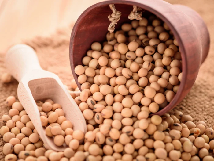 soybeans 11 Foods to Help Hair Growth & Why They Work (w/ Recipes)