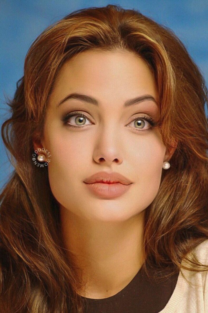 Angelina jolie net worth